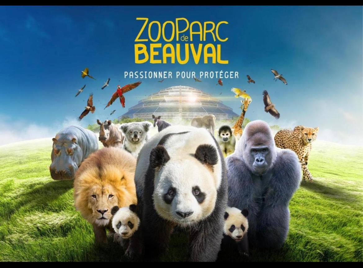 Studio & Gite Zen De Beauval- 800 M Du Zooparc Seigy エクステリア 写真